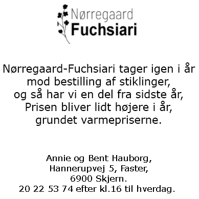 Nørregaard Fuchsiari januar 2023